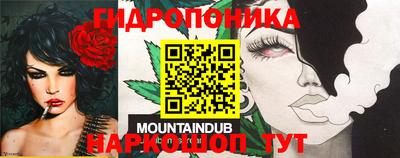стаф Кумертау